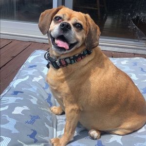 Meet your Posher, Nina